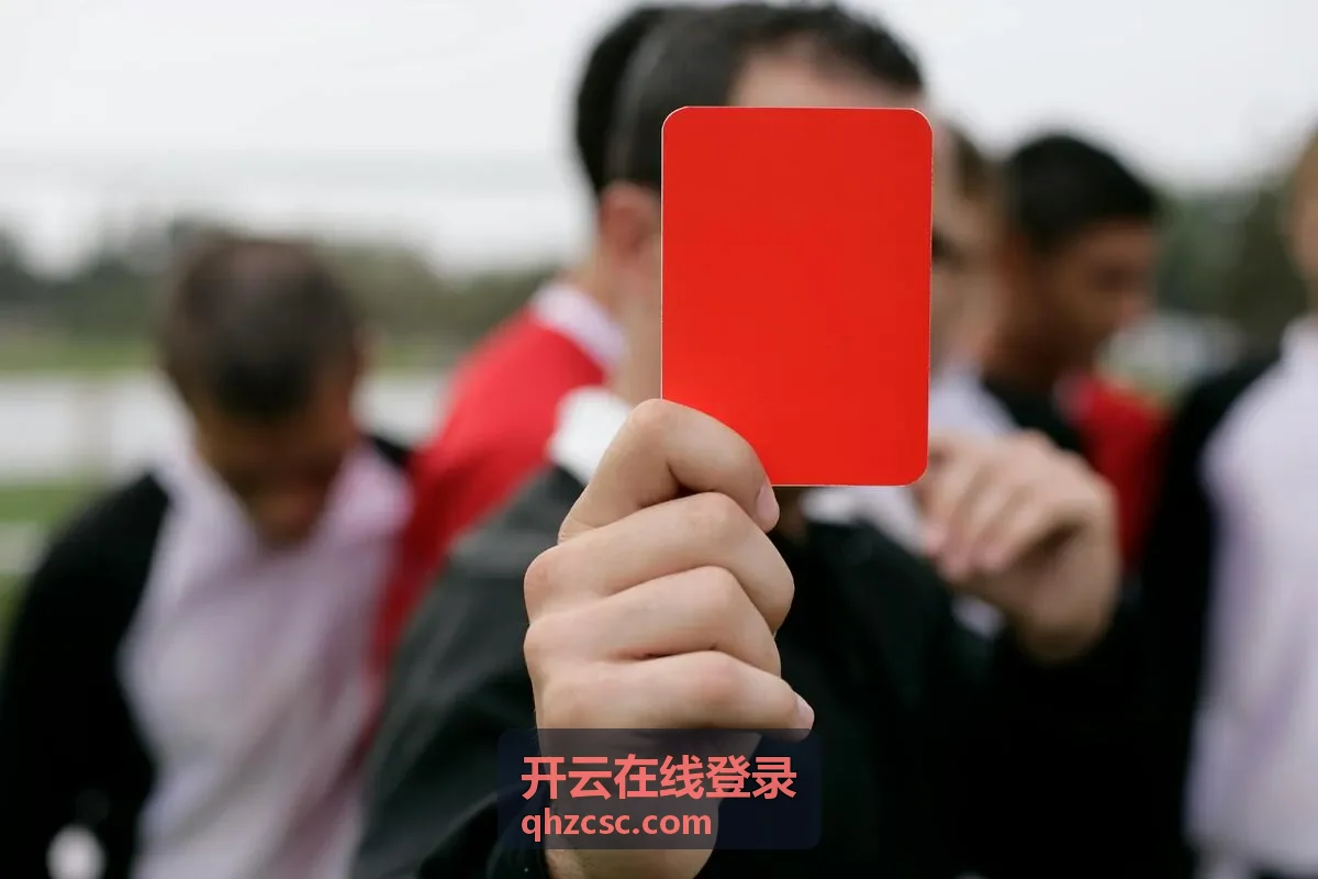 开云在线登录片库中的音乐类节目封面